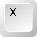 X